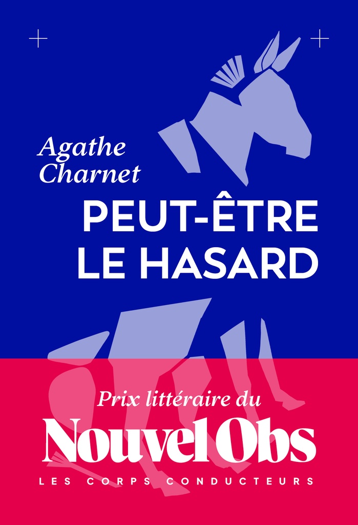 [9782488557108] Peut-être le hasard - Prix littéraire du Nouvel Obs 2026