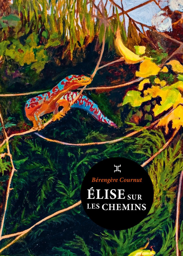 [9782370554765] Elise sur les chemins