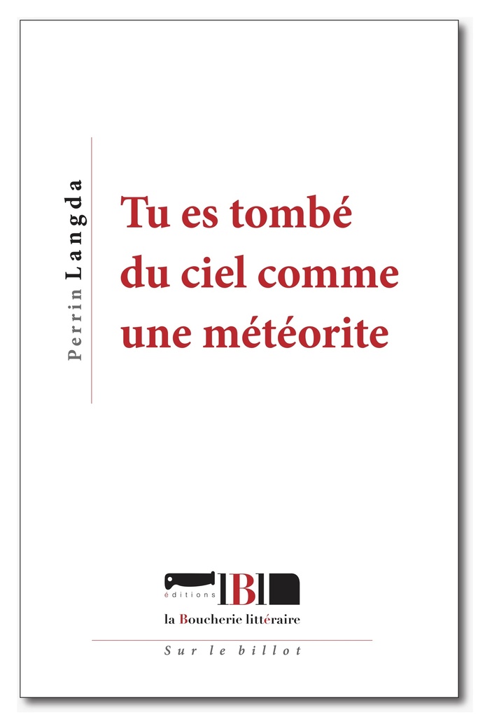 [9791096861675] tu es tombé du ciel comme une météorite