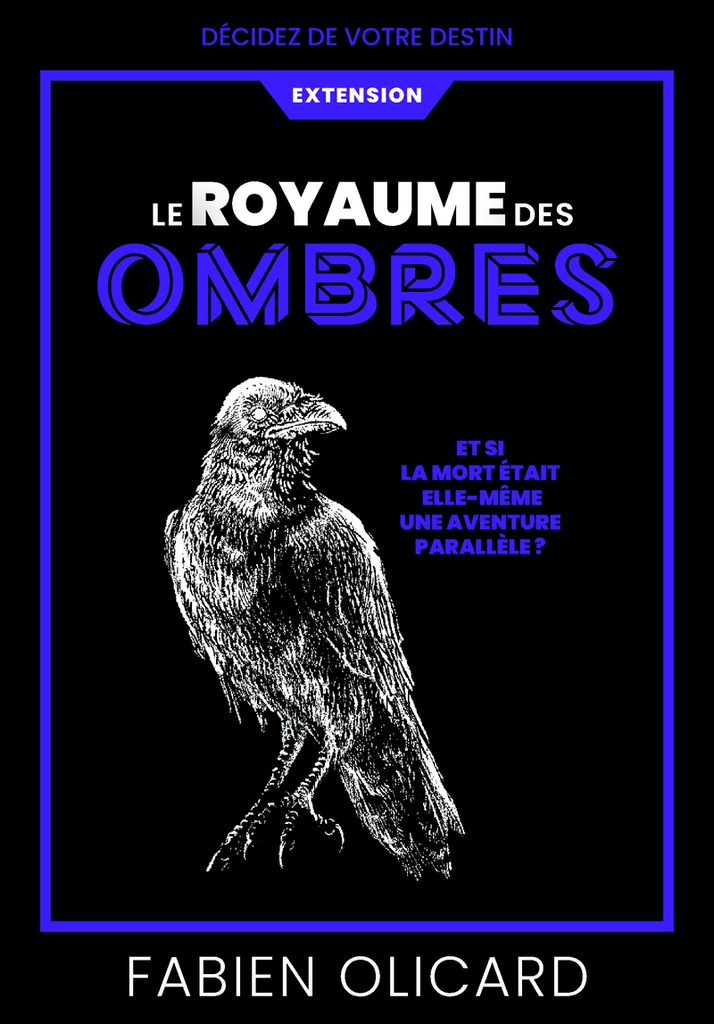 [9782412103845] Le Royaume des Ombres - Décidez de votre destin - La Saga de Dagda