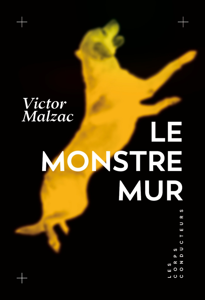 [9782488557009] Le monstre mur