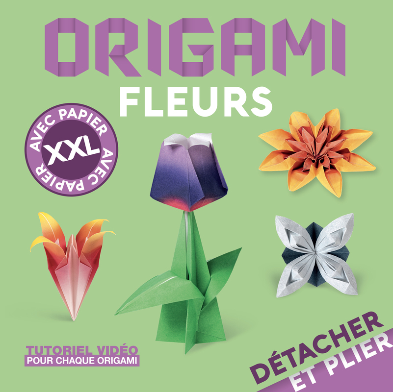 [9782889756506] Origami fleurs