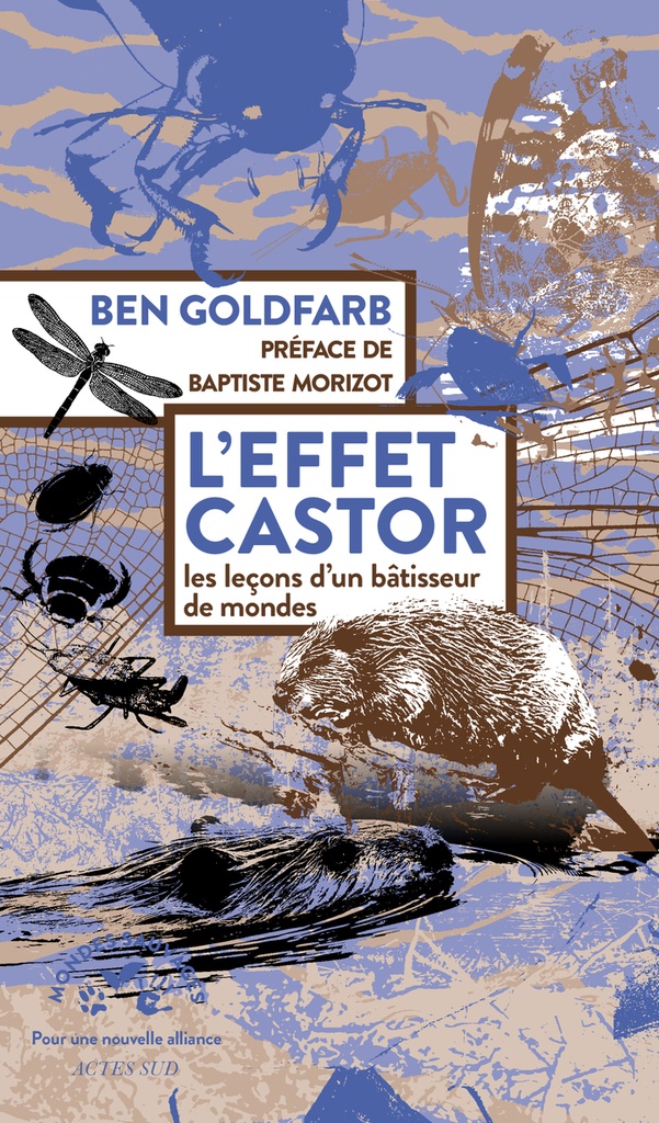 [9782330215040] L'effet castor