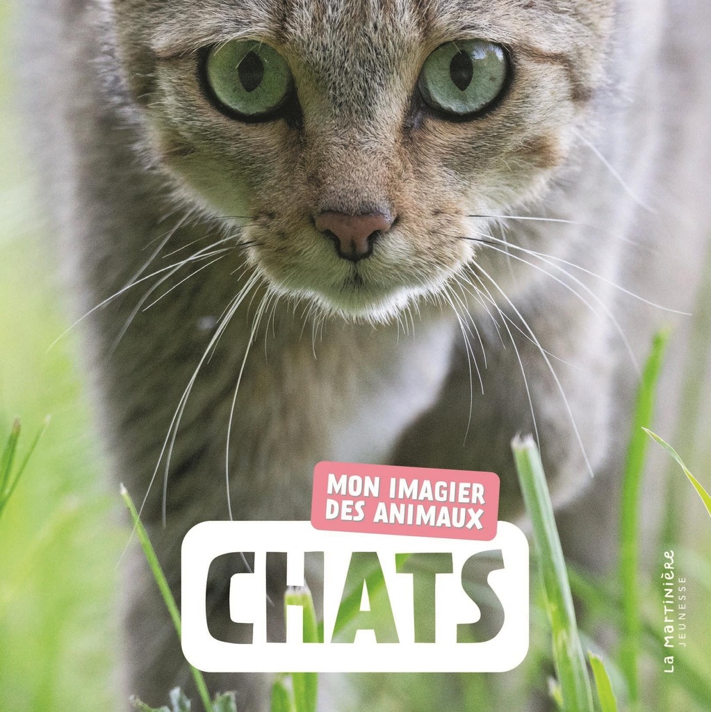 [9791040126461] Chats
