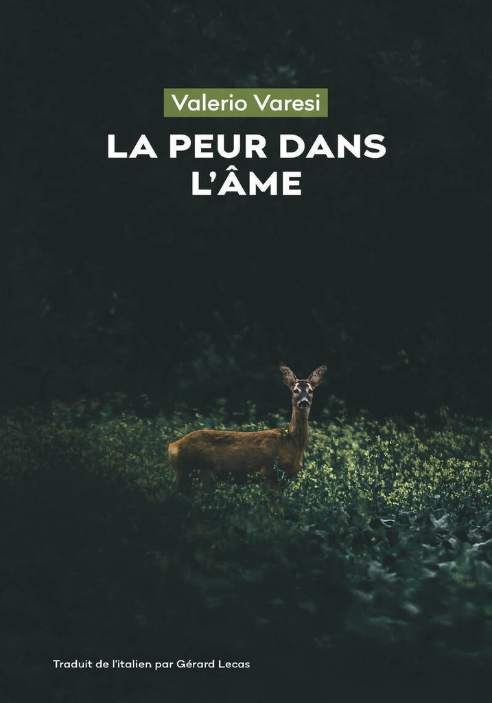 [9782382461594] La peur dans l'âme