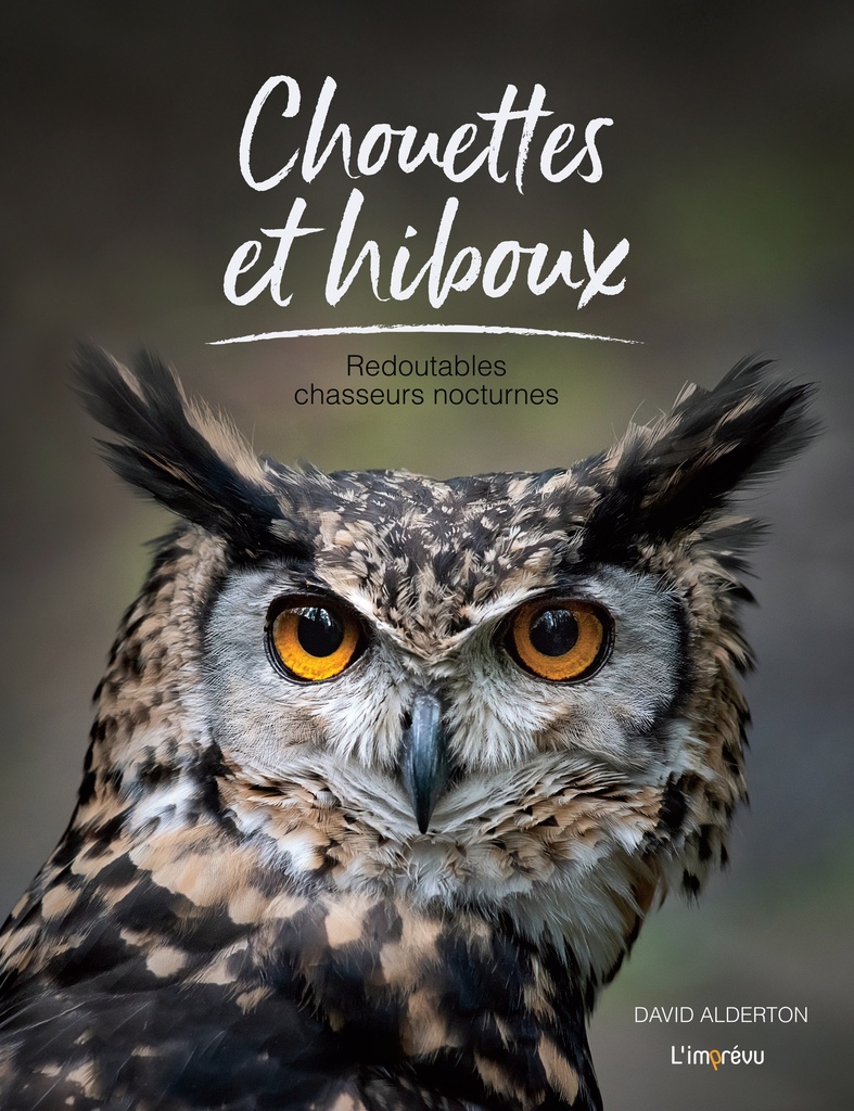 [9791029511196] Chouettes et hiboux