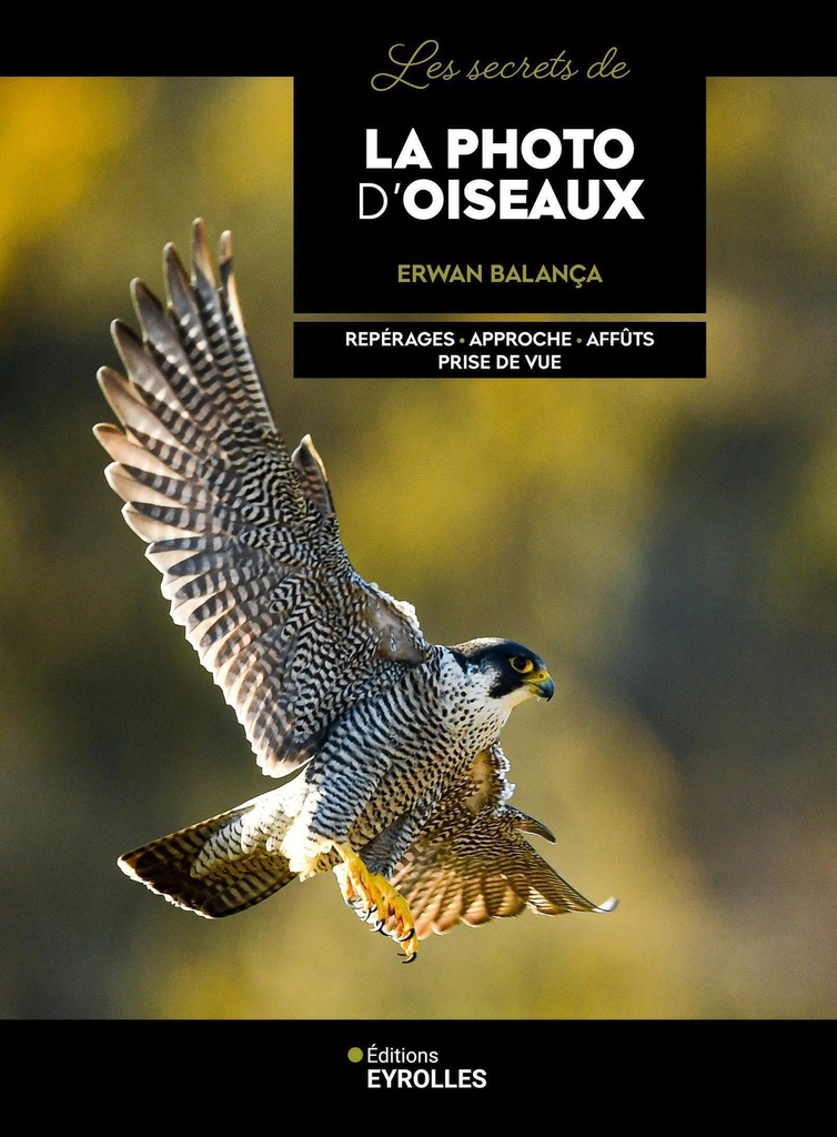 [9782416023422] Les secrets de la photo d'oiseaux