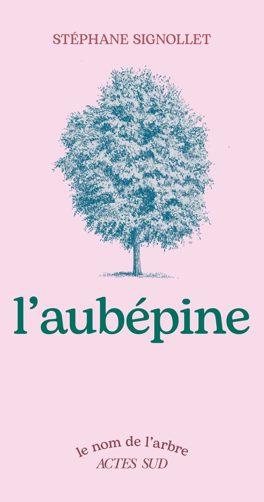 [9782330218898] L'Aubépine