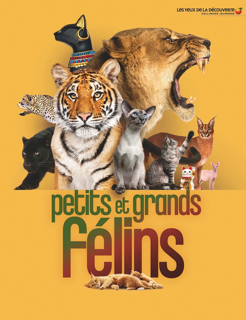 [9782075234689] Petits et grands félins