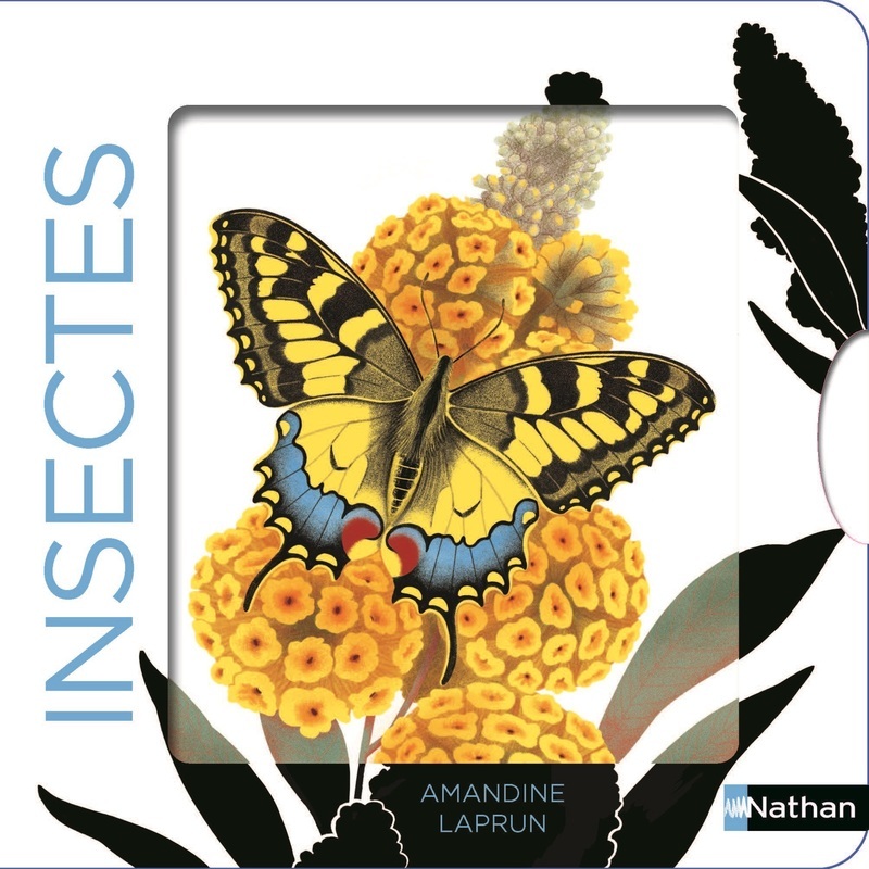 [9782095058241] Insectes