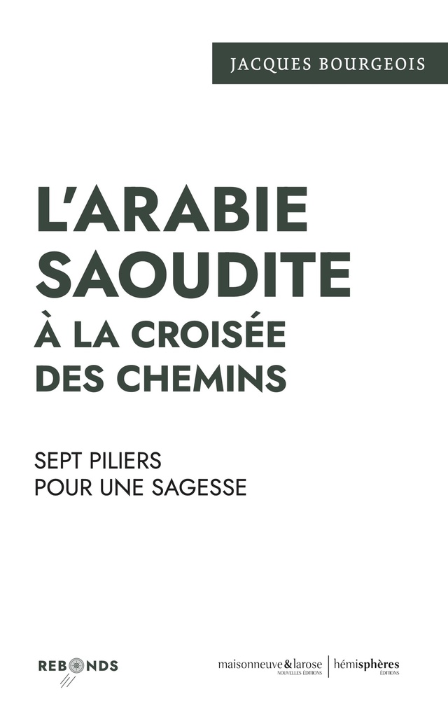 [9782377012657] L’Arabie saoudite à la croisée des chemins