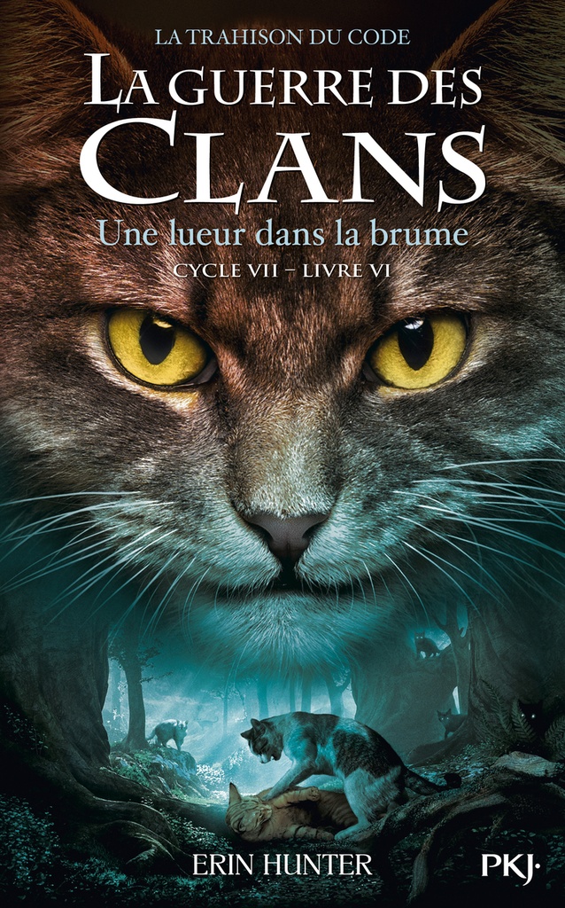 [9782266342087] La guerre des clans Cycle VII : La Trahison du code - Tome 6 Une lueur dans la brume