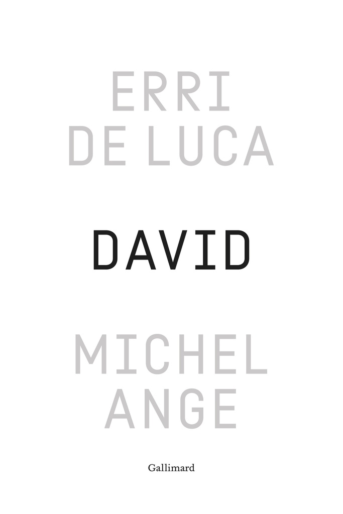 [9782073158291] David, Michel-Ange