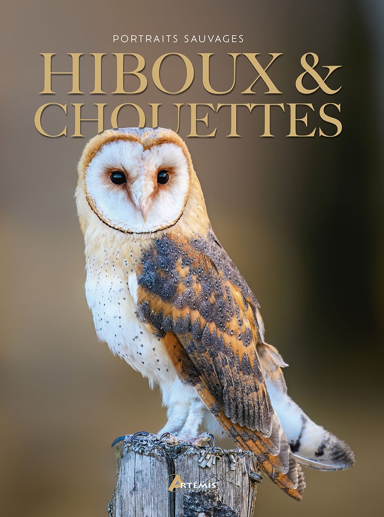 [9782816024920] HIBOUX & CHOUETTES