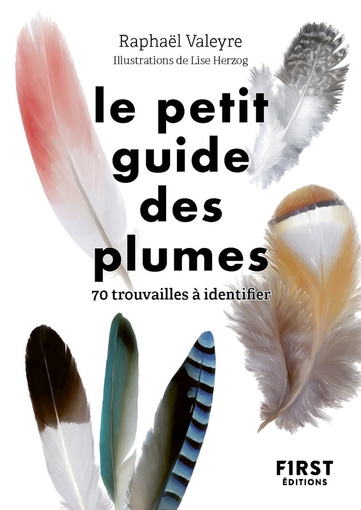 [9782412107997] Le Petit guide des plumes - 70 trouvailles à identifier