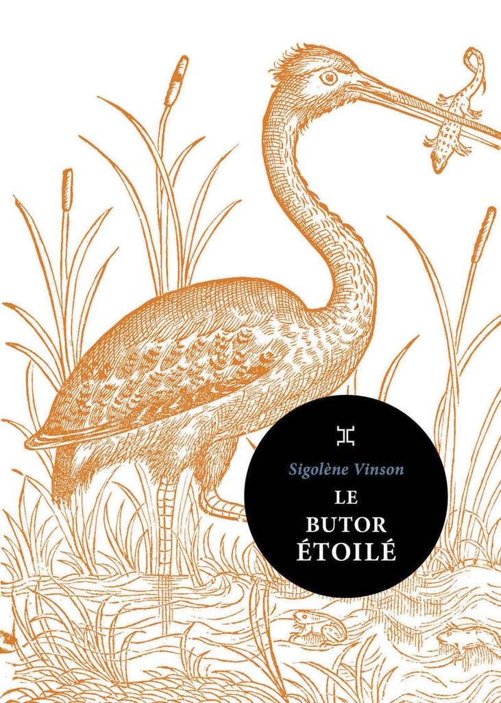 Le Butor étoilé