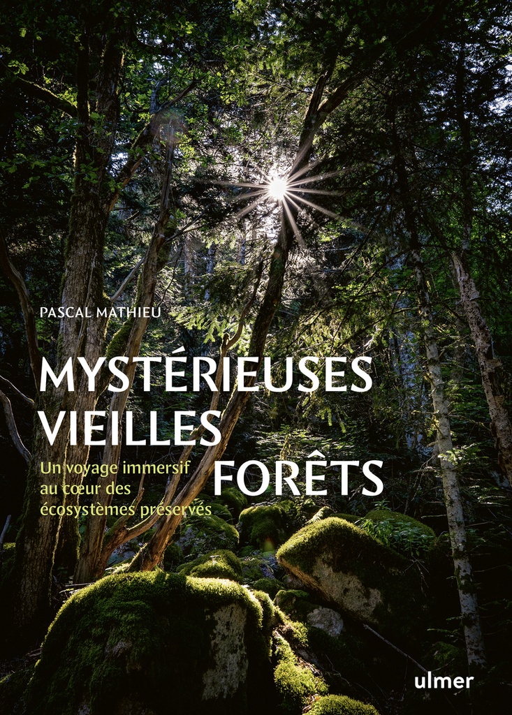 [9782379224331] Mystérieuses vieilles forêts - Un voyage immersif au coeur des écosystèmes préservés