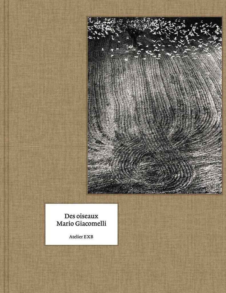 [9782365114721] Des oiseaux - (Version Française)