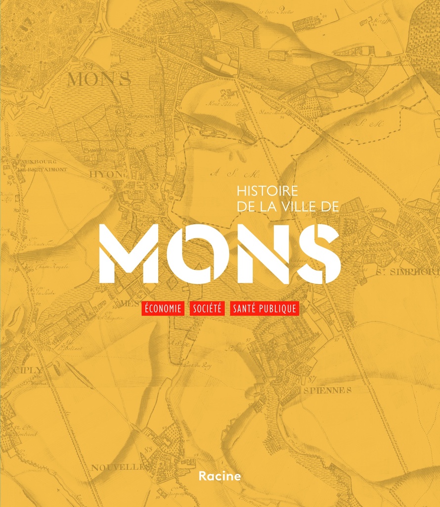 Histoire de la ville de Mons