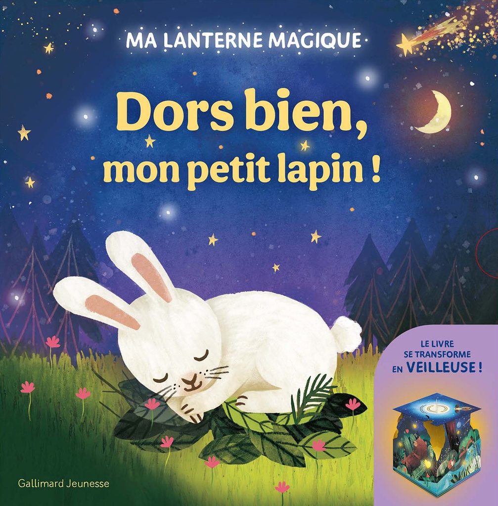 Ma lanterne magique - Dors bien, mon petit lapin !