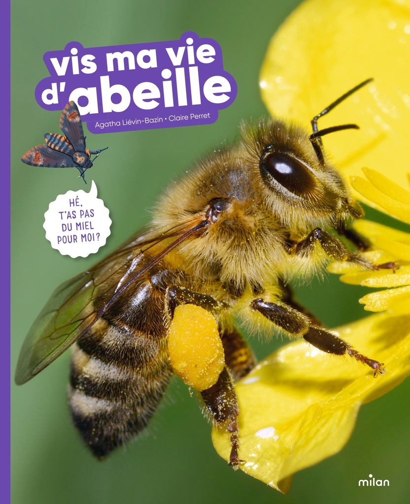 [9782408056605] Vis ma vie d'abeille