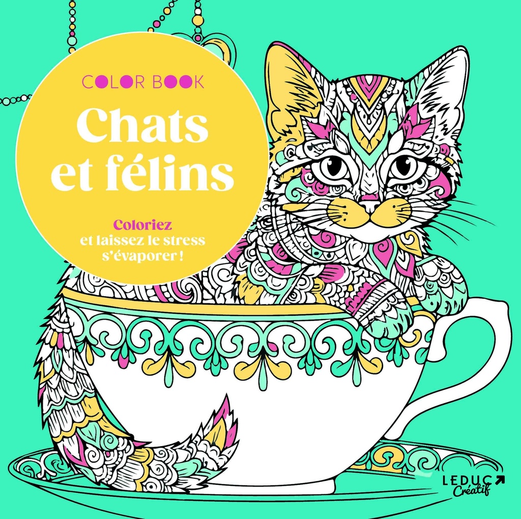 Chats et félins