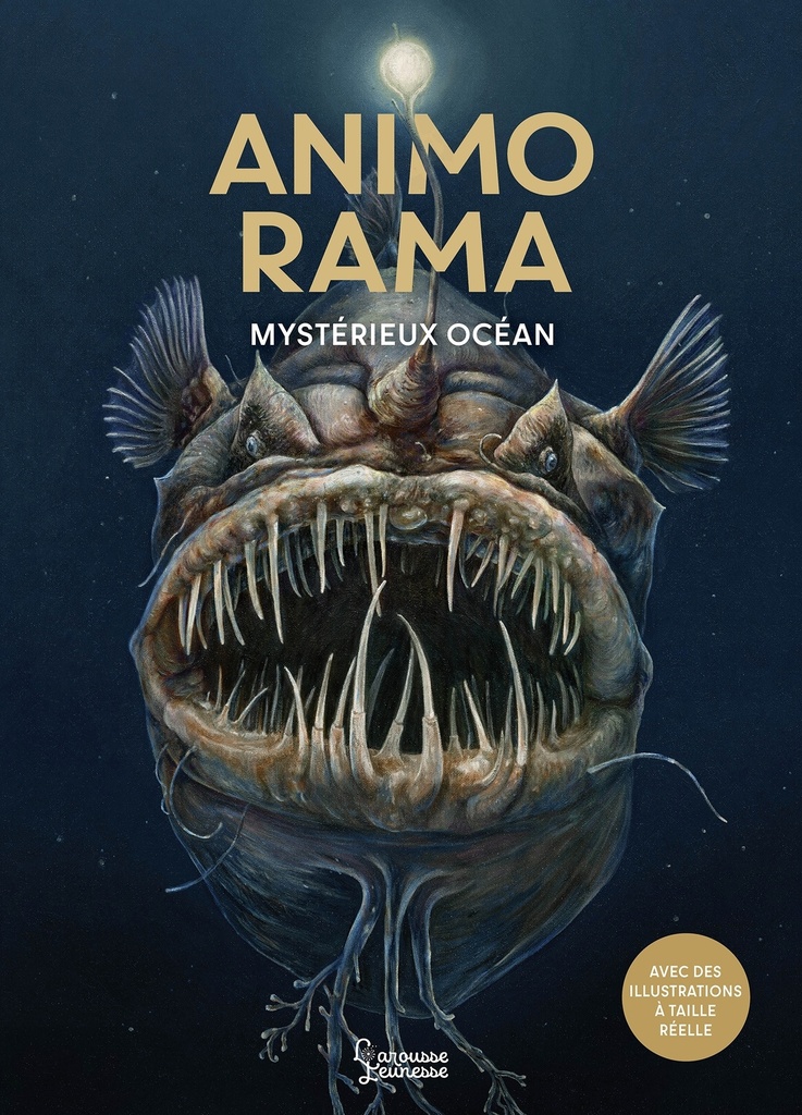 [9782036078390] ANIMO RAMA Mystérieux Océan