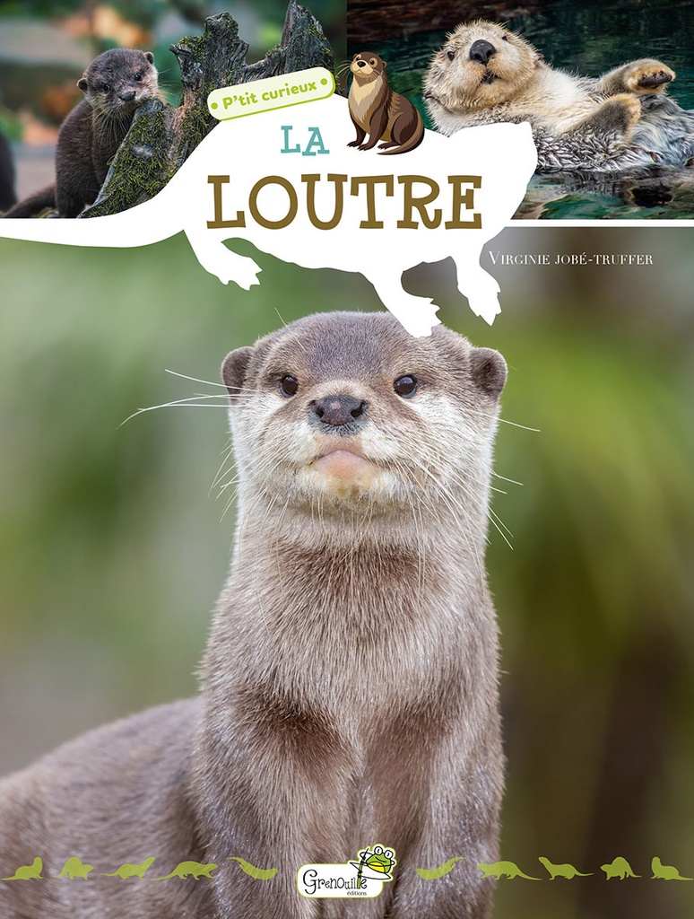 [9782384862887] LA LOUTRE P'TIT CURIEUX