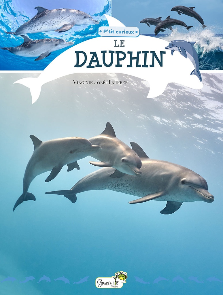 LE DAUPHIN P'TIT CURIEUX