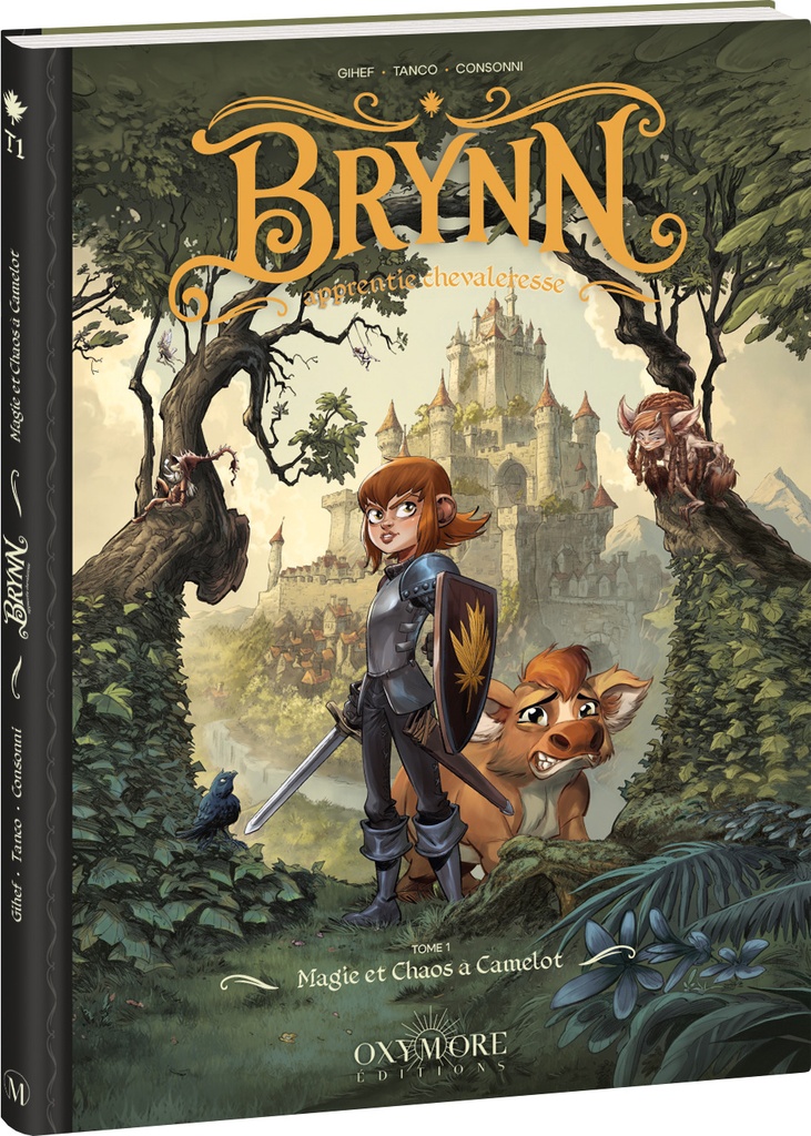 Brynn apprentie chevaleresse - Tome 1