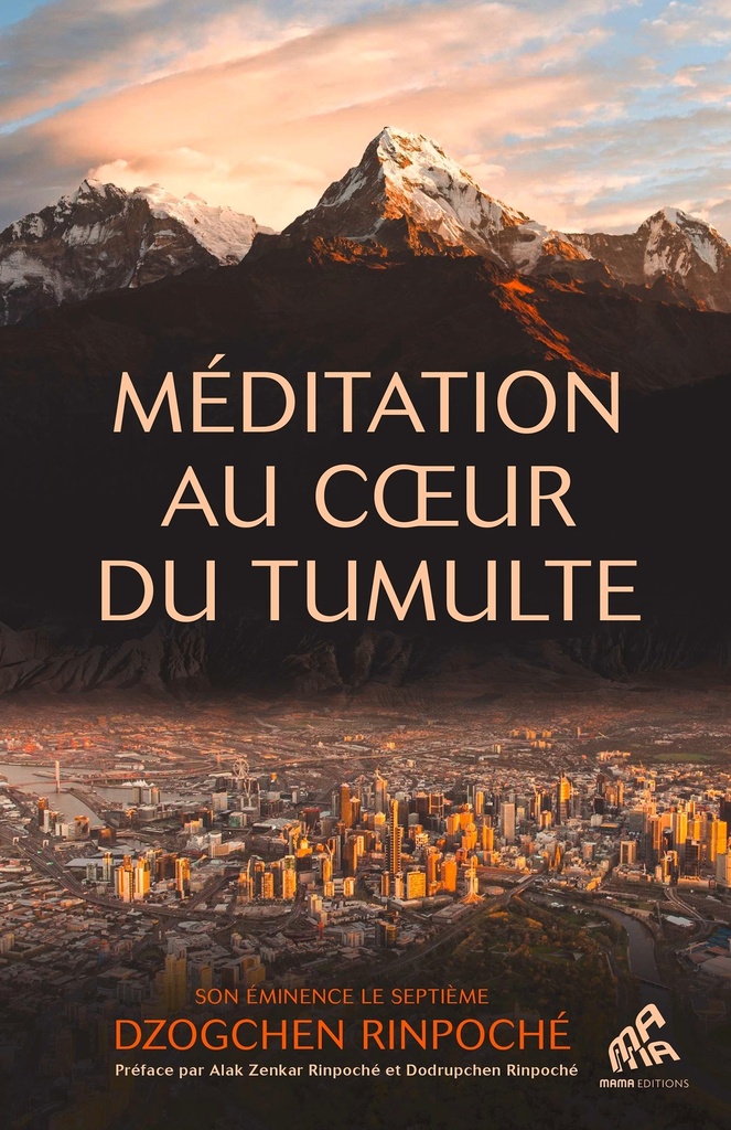 [9782845947207] Méditation au coeur du tumulte