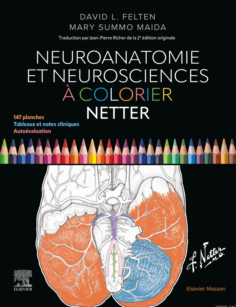 [9782294788338] Neuroanatomie et neurosciences à colorier Netter