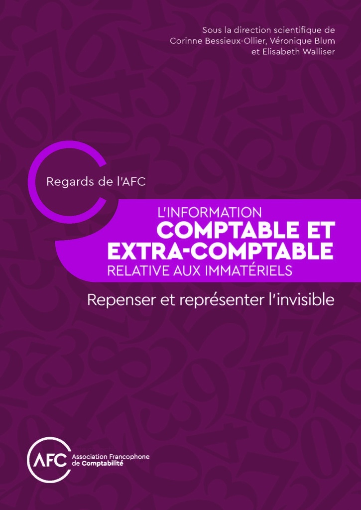 [9782326003576] L'Information comptable et extra-comptable relative aux immatériels