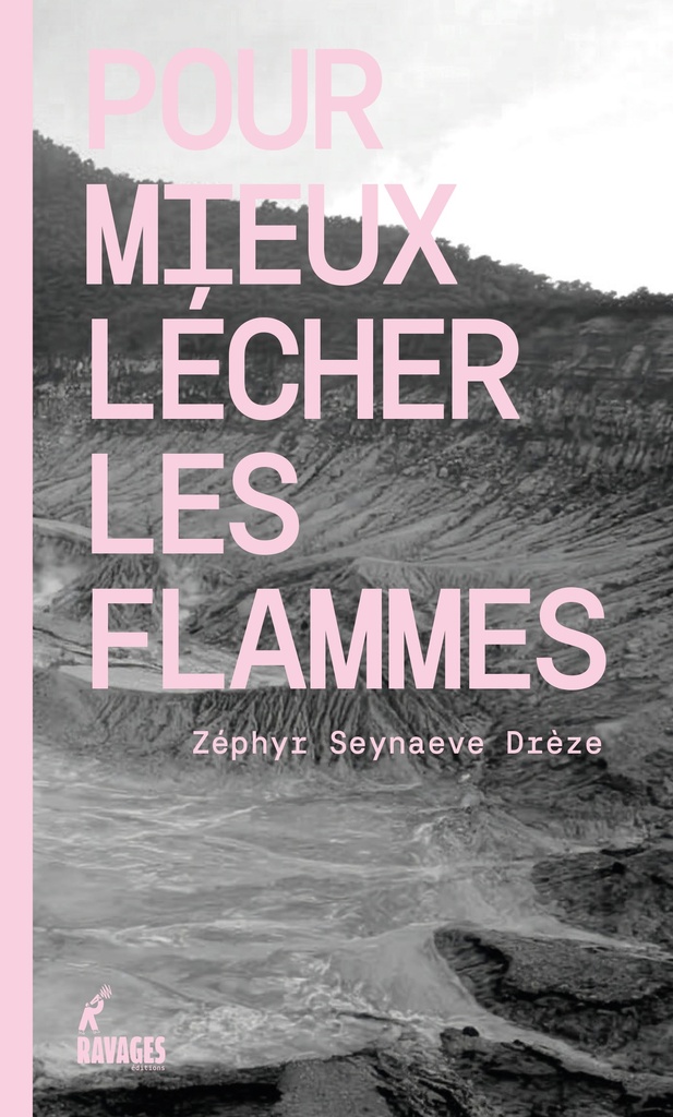 [9782960413700] Pour mieux lécher les flammes