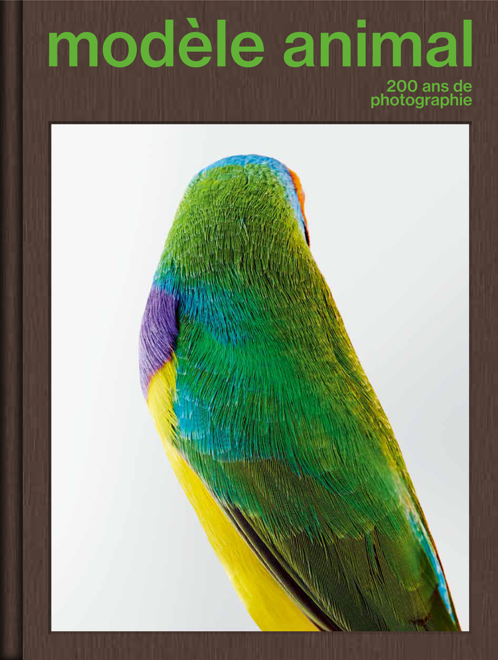 [9782386291715] Modèle animal, 200 ans de photographie