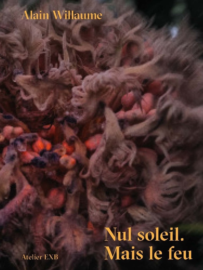 [9782365114769] Nul soleil. Mais le feu