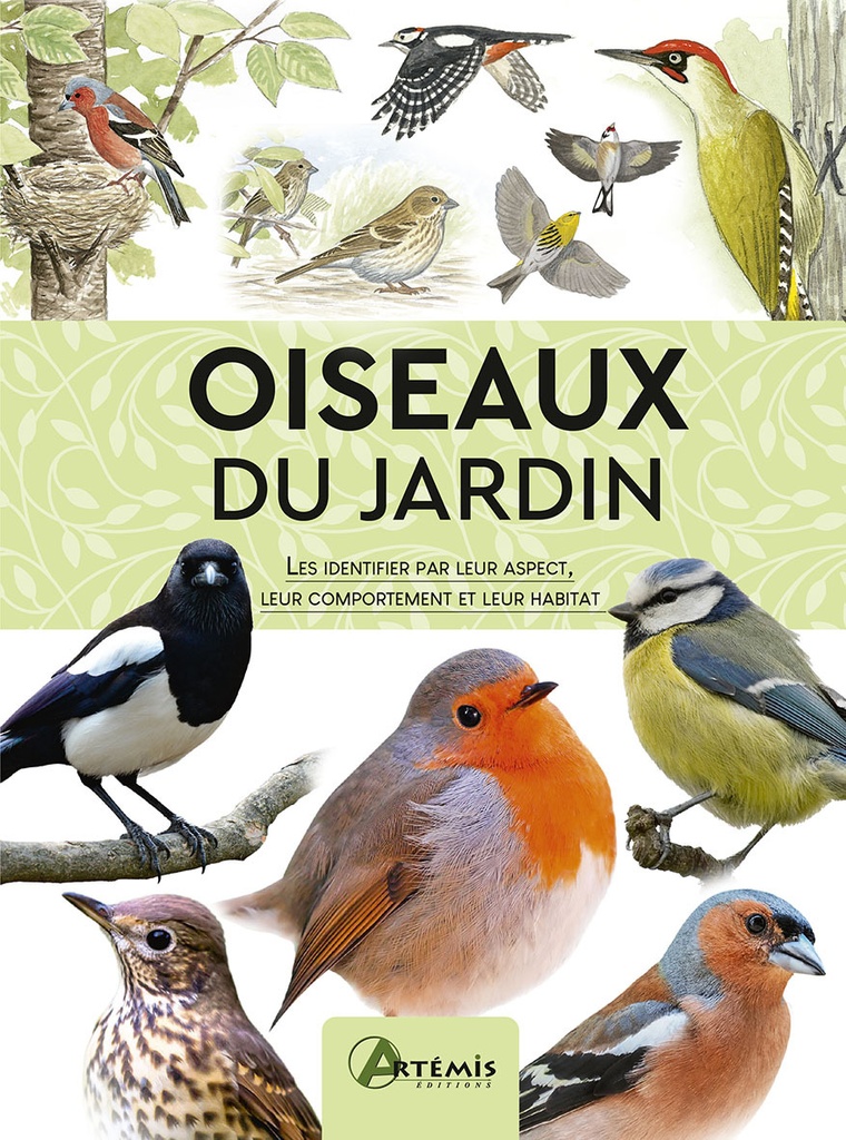 [9782816023725] OISEAUX DU JARDIN