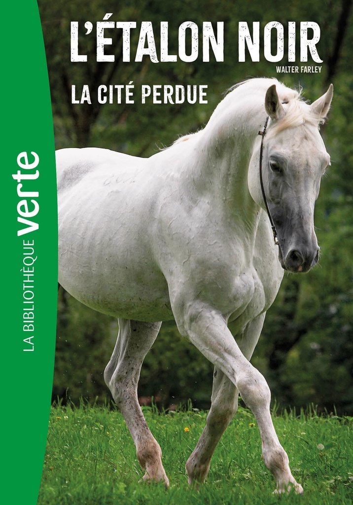 [9782017910565] L'Etalon noir (nouvelle édition),  Tome 20 -  La cité perdue