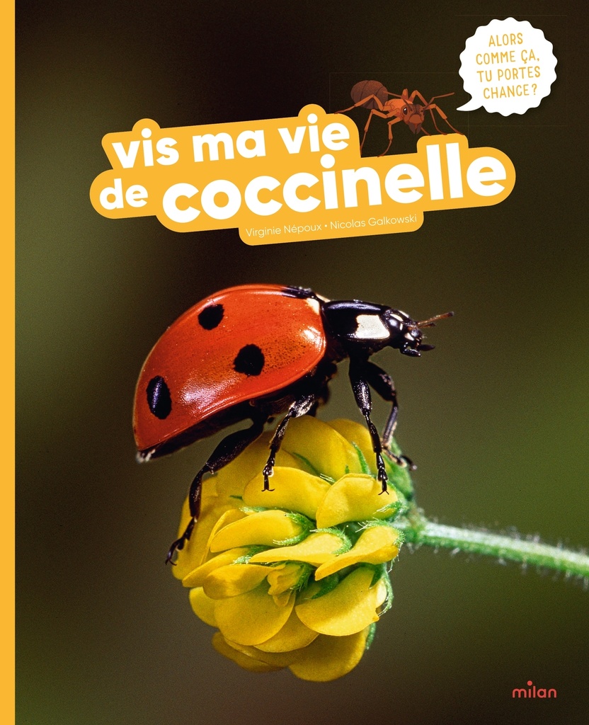 [9782408063580] Vis ma vie de coccinelle