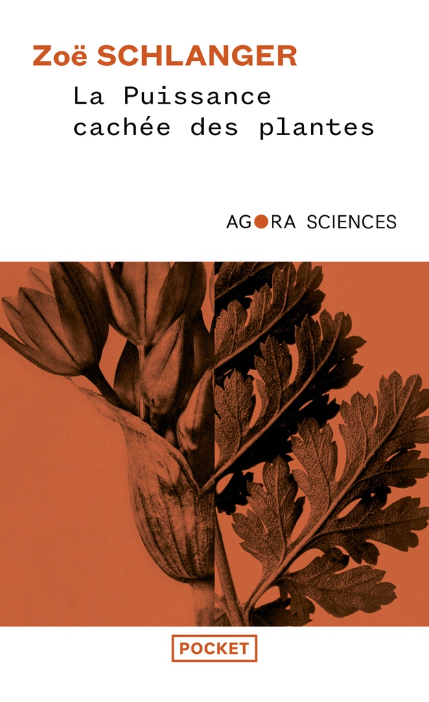[9782266353793] La Puissance cachée des plantes